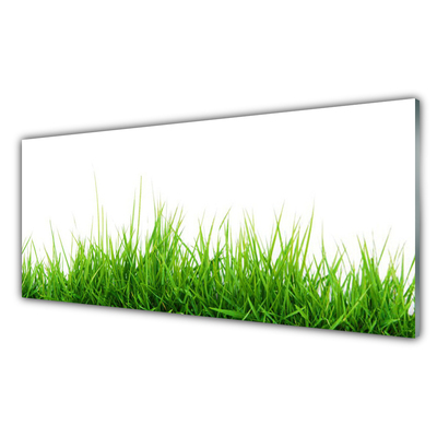 Kitchen Splashback Grass nature green