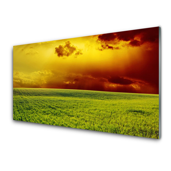 Kitchen Splashback Field landscape green