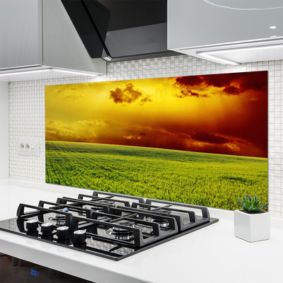 Kitchen Splashback Field landscape green