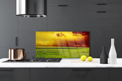 Kitchen Splashback Field landscape green