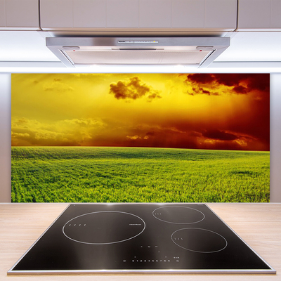 Kitchen Splashback Field landscape green