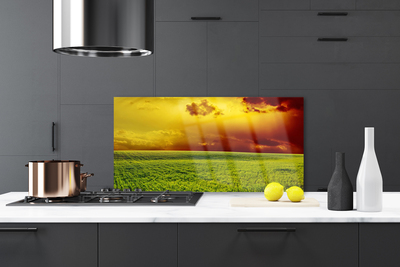 Kitchen Splashback Field landscape green