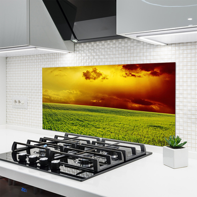 Kitchen Splashback Field landscape green