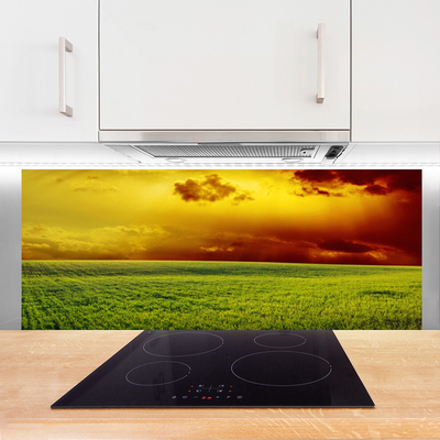 Kitchen Splashback Field landscape green