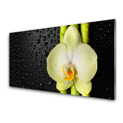 Kitchen Splashback Bamboo tube flower floral green yellow