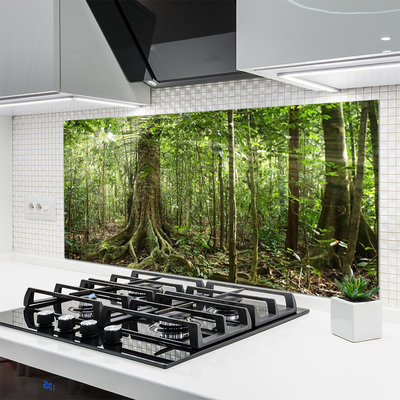 Kitchen Splashback Forest nature brown green