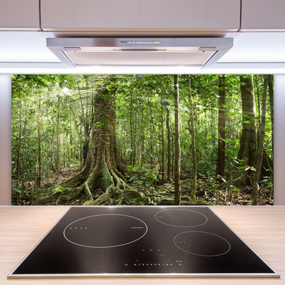 Kitchen Splashback Forest nature brown green