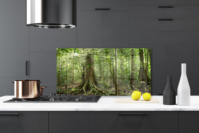 Kitchen Splashback Forest nature brown green