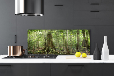 Kitchen Splashback Forest nature brown green