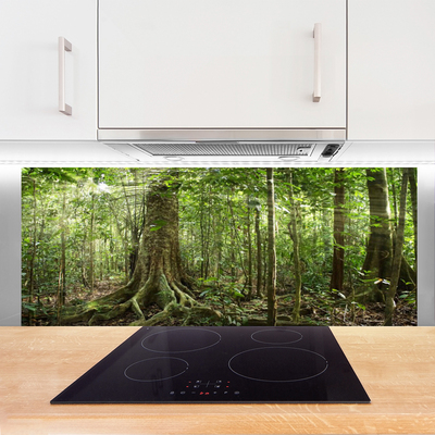 Kitchen Splashback Forest nature brown green