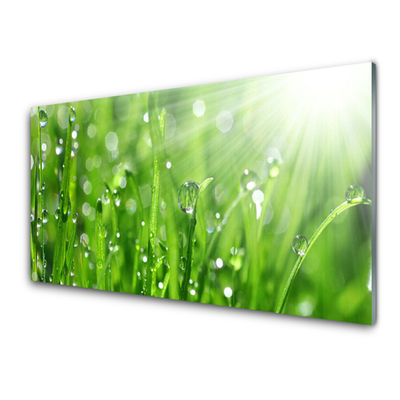 Kitchen Splashback Grass nature green