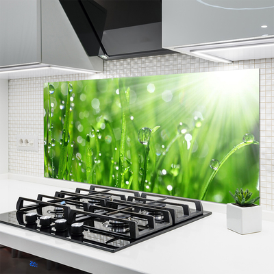 Kitchen Splashback Grass nature green