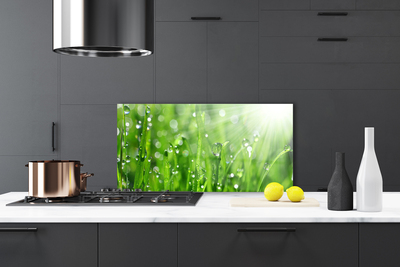 Kitchen Splashback Grass nature green