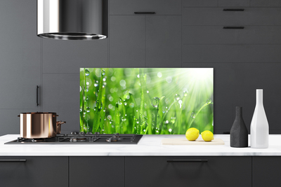 Kitchen Splashback Grass nature green