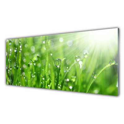 Kitchen Splashback Grass nature green