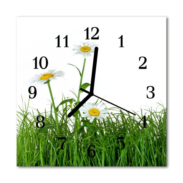 Glass Kitchen Clock Daisies flowers & plants green