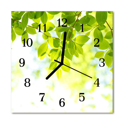 Glass Kitchen Clock Leaves flowers & plants green