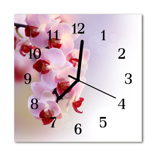 Glass Kitchen Clock Orchid flowers & plants pink