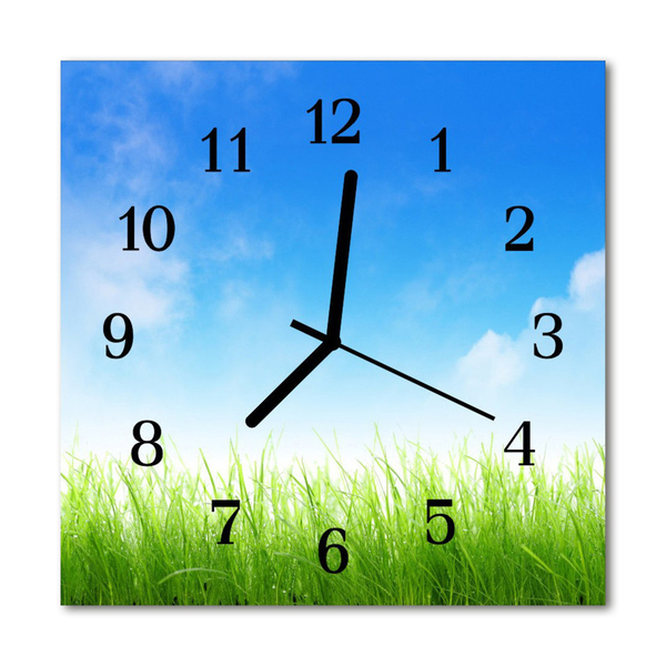 Glass Kitchen Clock Grass nature green, blue