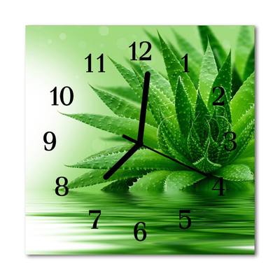 Glass Kitchen Clock Aloe aloe green