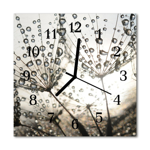 Glass Wall Clock Dew drops dew nature grey