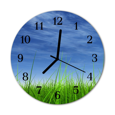 Glass Kitchen Clock Grass nature blue, green