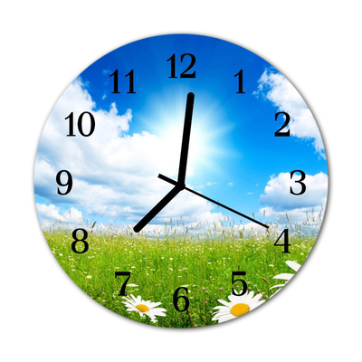 Glass Kitchen Clock Meadow flowers flowers & plants multi-coloured