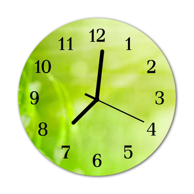 Glass Kitchen Clock Grass flowers & plants green