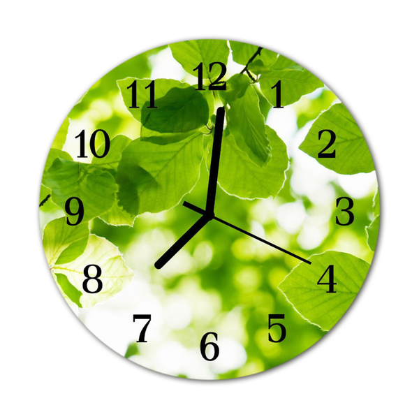 Glass Kitchen Clock Leaves flowers & plants green