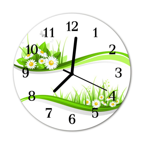 Glass Kitchen Clock Daisy flowers & plants green, white