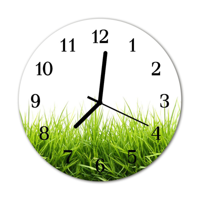 Glass Kitchen Clock Grass flowers & plants green