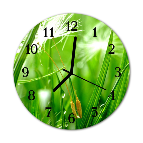 Glass Kitchen Clock Grass flowers & plants green