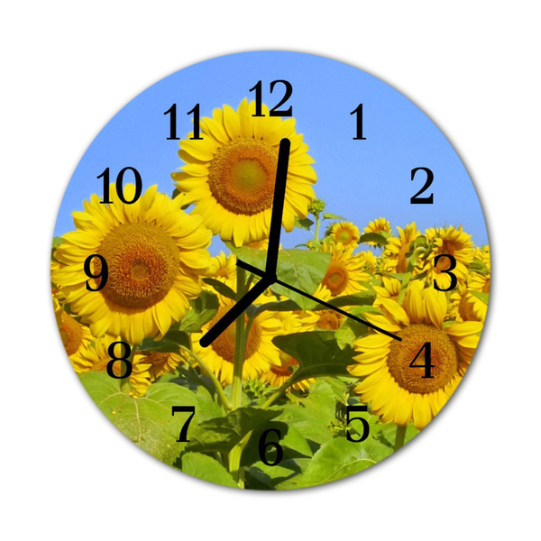 Glass Kitchen Clock Sunflowers flowers & plants yellow