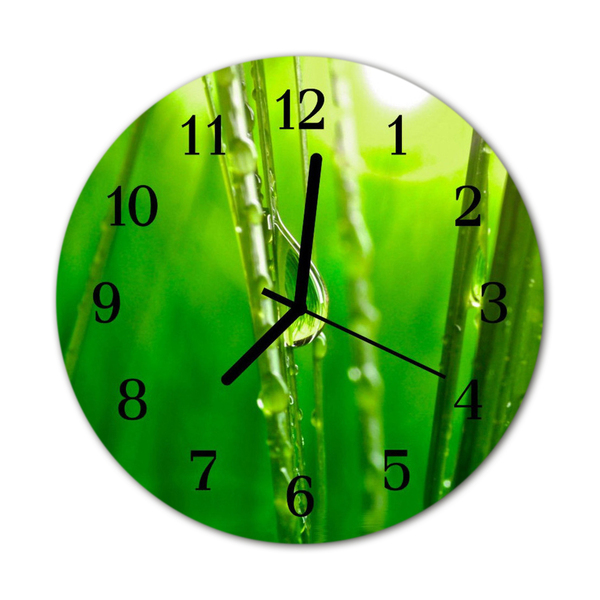 Glass Kitchen Clock Grass drops flowers & plants green