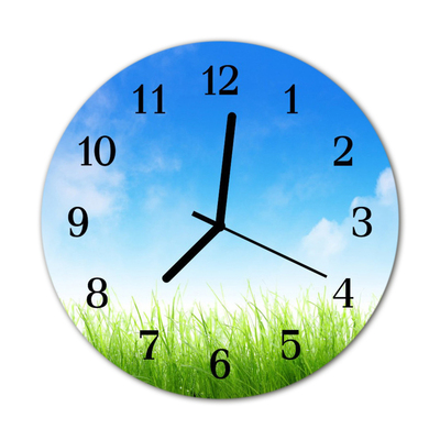 Glass Kitchen Clock Grass nature green, blue