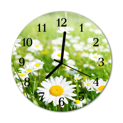 Glass Kitchen Clock Daisies flowers & plants white