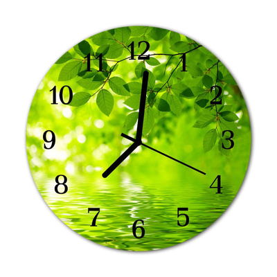 Glass Kitchen Clock Leaves flowers & plants green