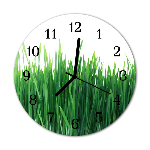 Glass Kitchen Clock Grass flowers & plants green