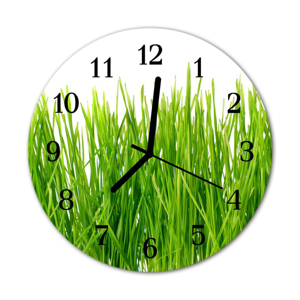 Glass Kitchen Clock Grass grass green