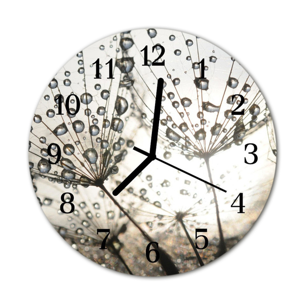 Glass Wall Clock Dew drops dew nature grey