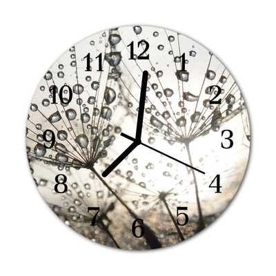 Glass Wall Clock Dew drops dew nature grey