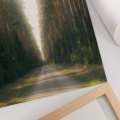 Decorative poster A fabulous forest path with tall trees