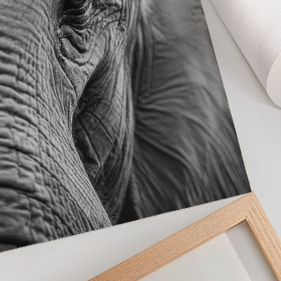 Poster An elephant's eye full of textures, harmony and peace.