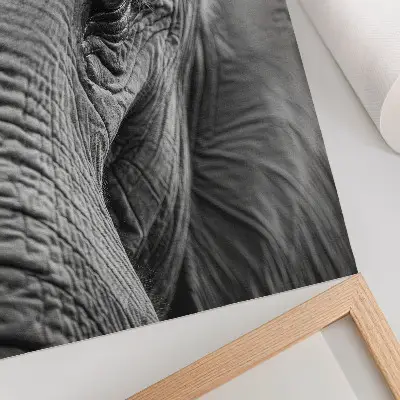 Elephant eye poster with textures of harmony and peace