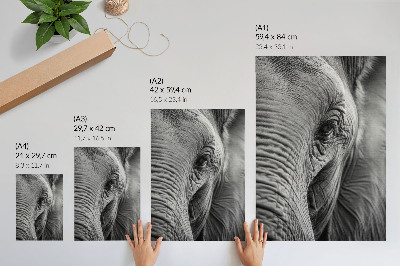 Poster An elephant's eye full of textures, harmony and peace.