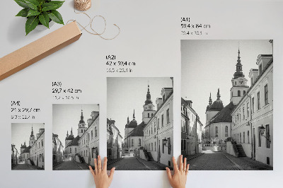 Premium wall art Historic buildings, elegance, architectural details