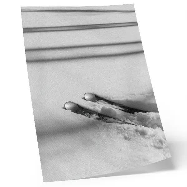 Decorative poster minimalist white and gray ski shadows in a peaceful setting