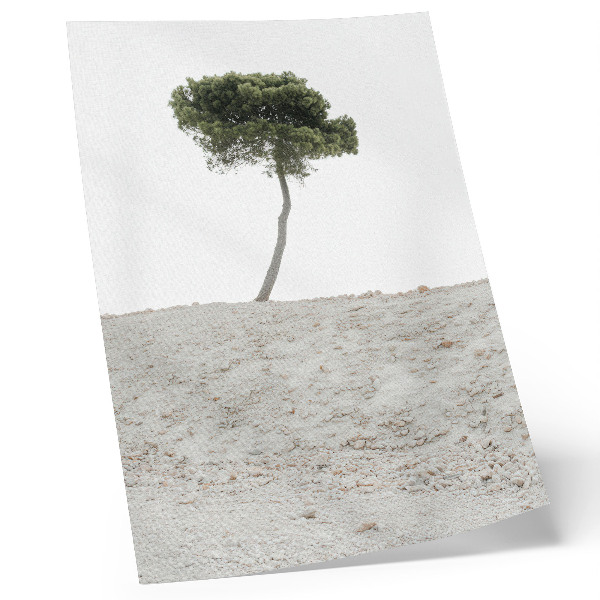 Poster Lonely tree on a light background, minimalism