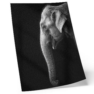 Decorative poster Monochrome portrait of an elephant in profile