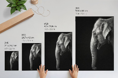 Decorative poster Monochrome portrait of an elephant in profile